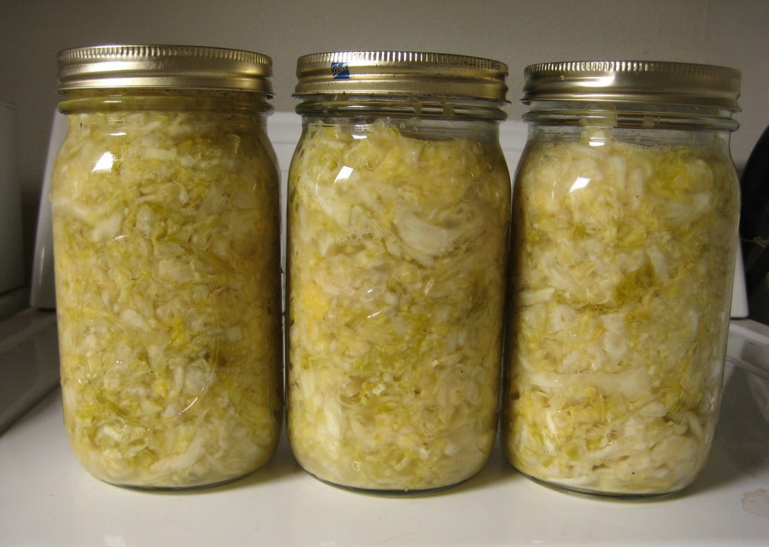 Homemade Sauerkraut Health Benefits
